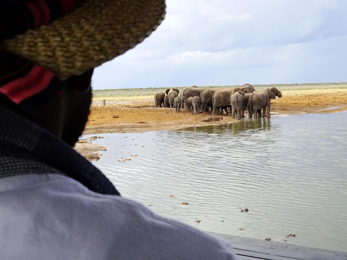 Vila Etosha King Nehale Omuthiya Exteriér fotografie