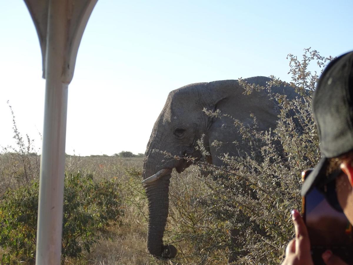 Vila Etosha King Nehale Omuthiya Exteriér fotografie